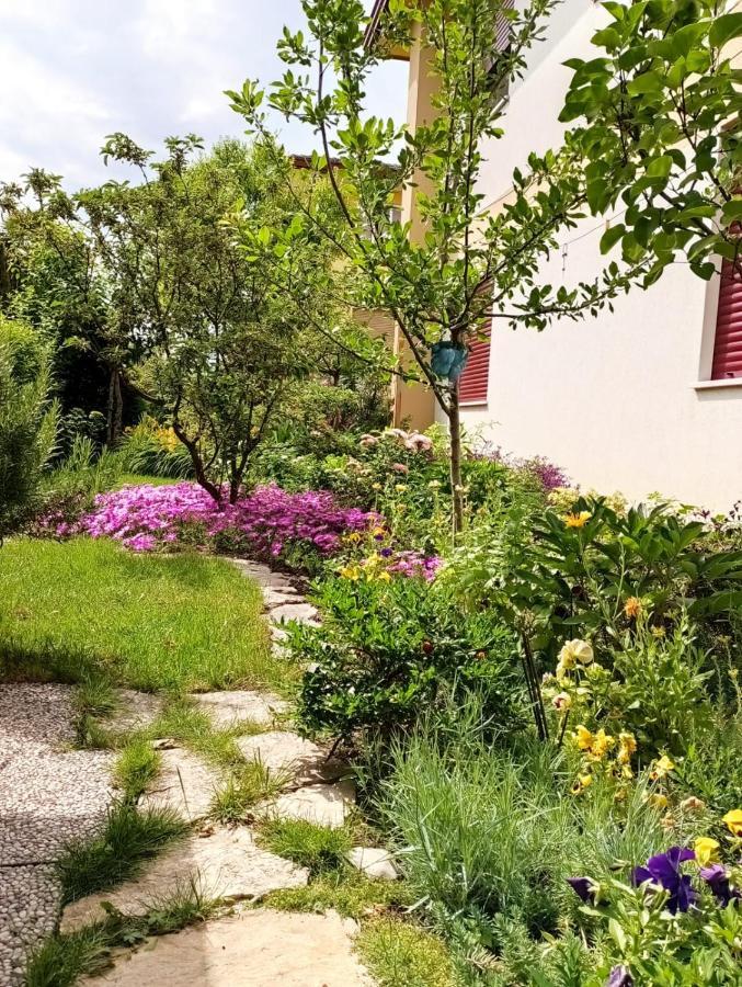 Al Casale B&B カザルセルーゴ エクステリア 写真